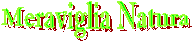 Meraviglia Natura
